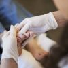 Formation en Pédicurie Médicale : Spécialisation en pédicurie médicale – Image 6
